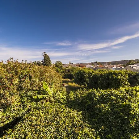 Finestra Medieval Apartment Rhodes City
